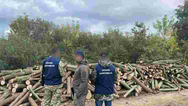 На території військового містечка у Мукачеві селяни вирубали 200 дерев