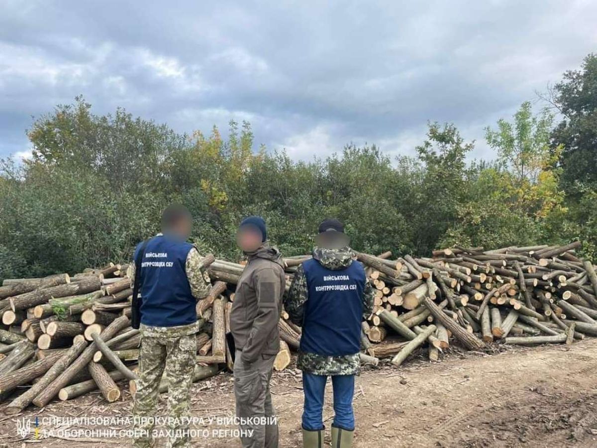 На території військового містечка у Мукачеві селяни вирубали 200 дерев