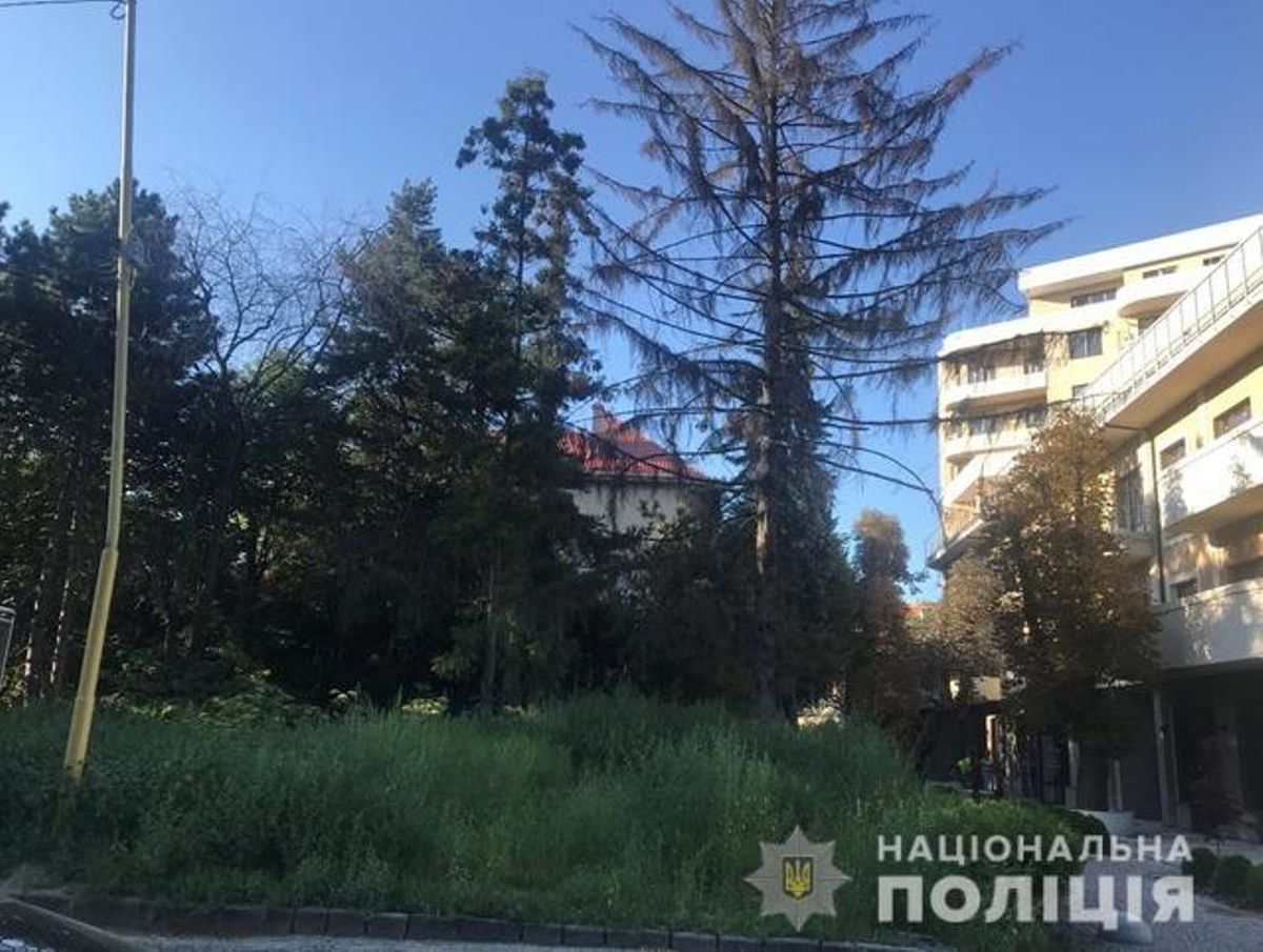 Екс-чиновника Ужгородської міськради звинуватили у передачі скверу під будівництво