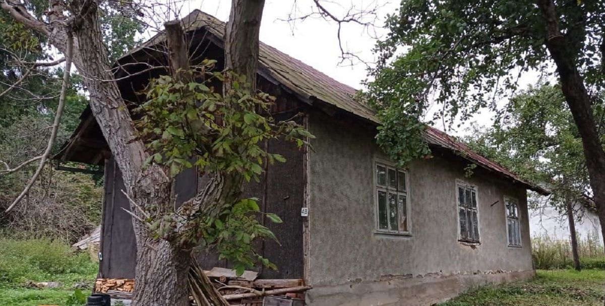 На Львівщині 22-річний чоловік убив сокирою 42-річного закарпатця
