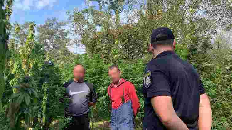 Закарпатська поліція затримала озброєних охоронців плантації конопель 