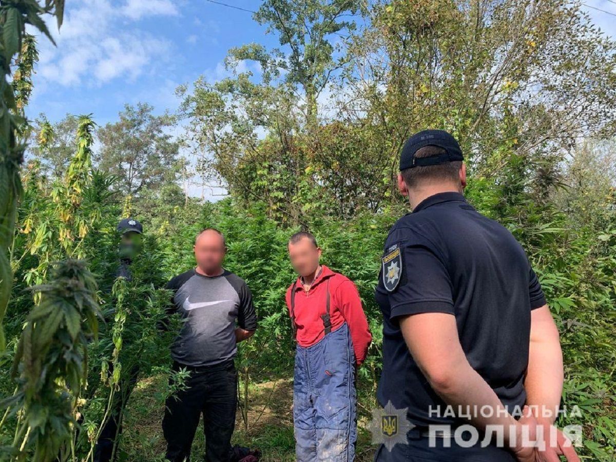 Закарпатська поліція затримала озброєних охоронців плантації конопель 