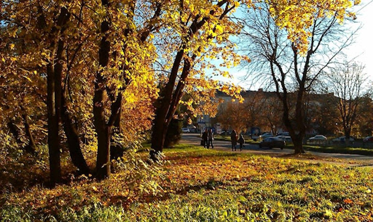 На Тернопільщині прогнозують цього тижня «бабине літо»