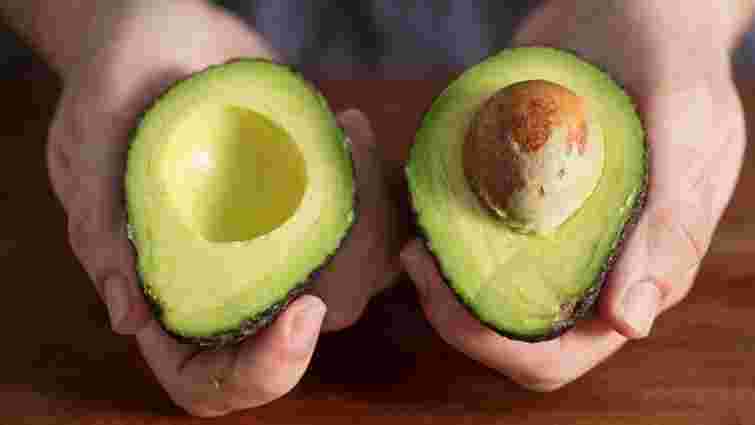 Найвідоміший суперфуд: як виростити авокадо з кісточки вдома