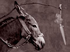 Віслюк втомився