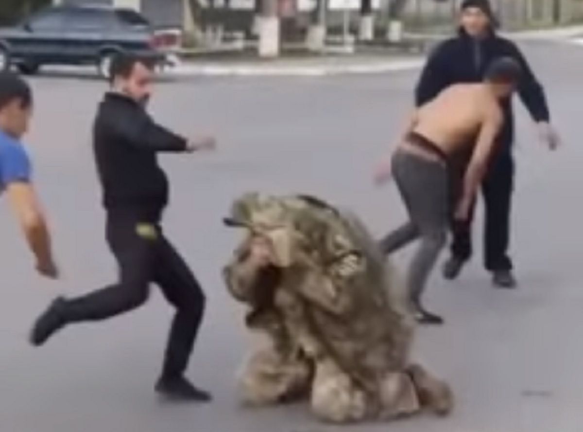 На Волині четверо хуліганів побили військового, а згодом навколішках просили вибачення