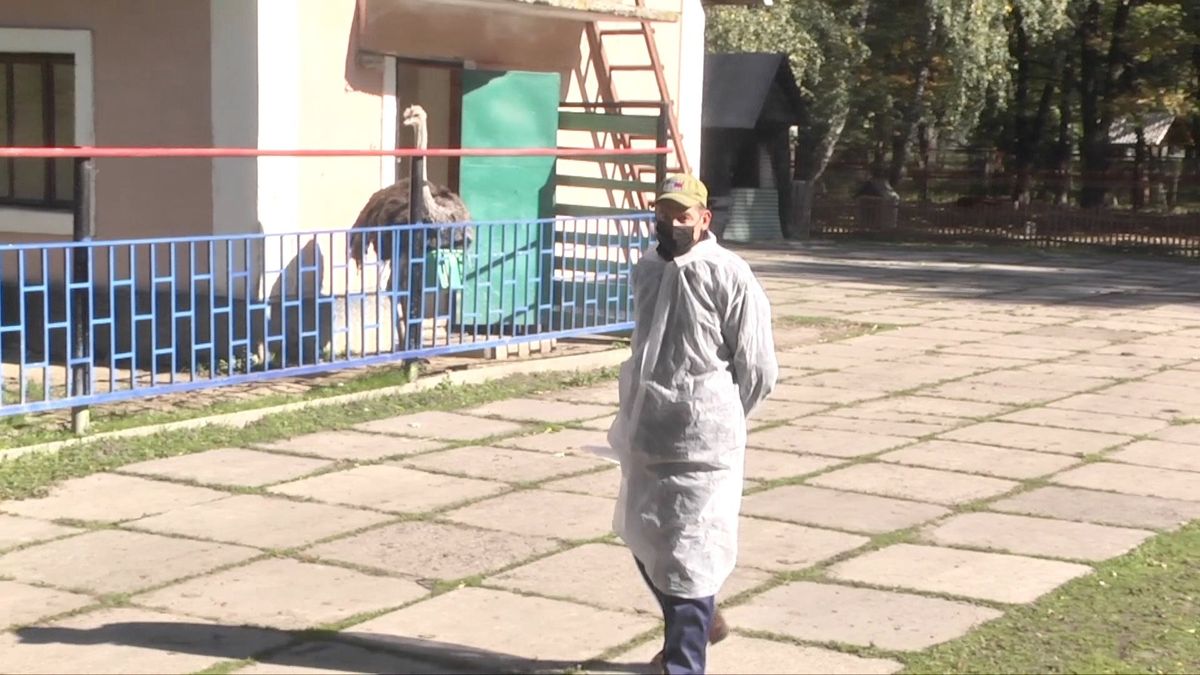 Після виявлення сибірки частину тернопільського зоокутка випалили вогнем