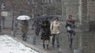 На Львівщині прогнозують дощі з мокрим снігом
