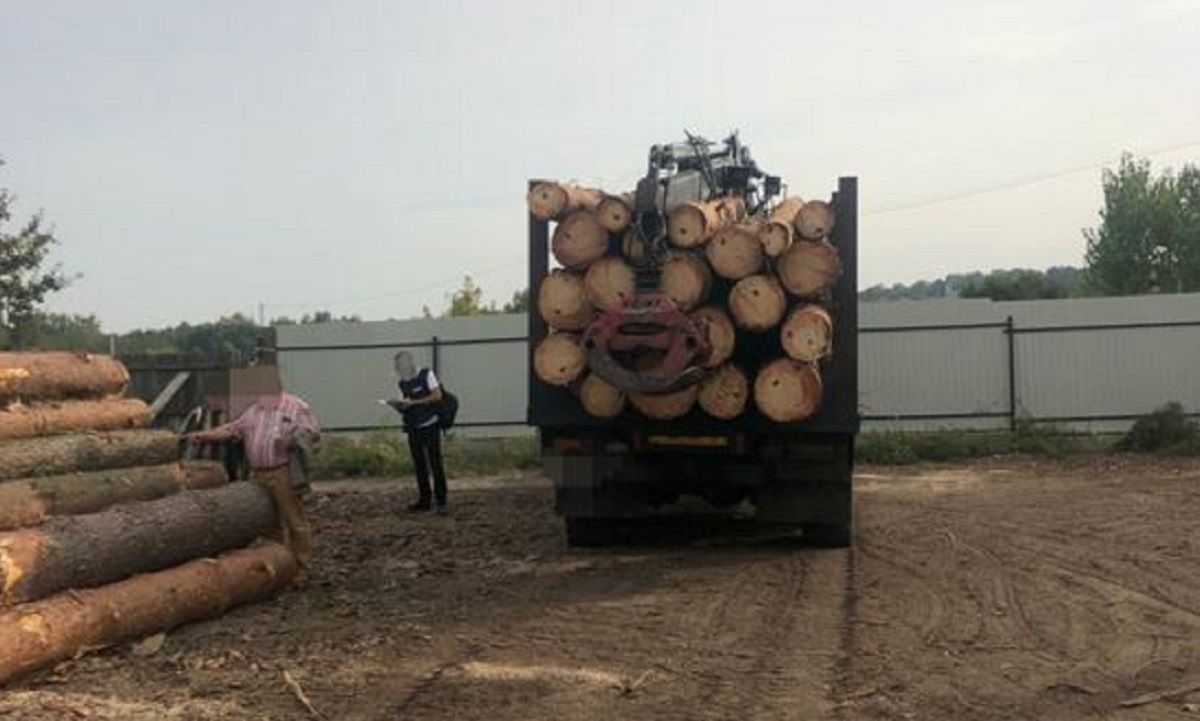 Працівників Яворівського національного парку підозрюють у розкраданні лісу