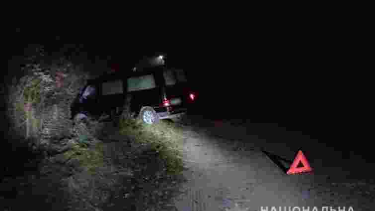 На Волині п'яний водій мікроавтобуса на смерть збив 85-річну жінку