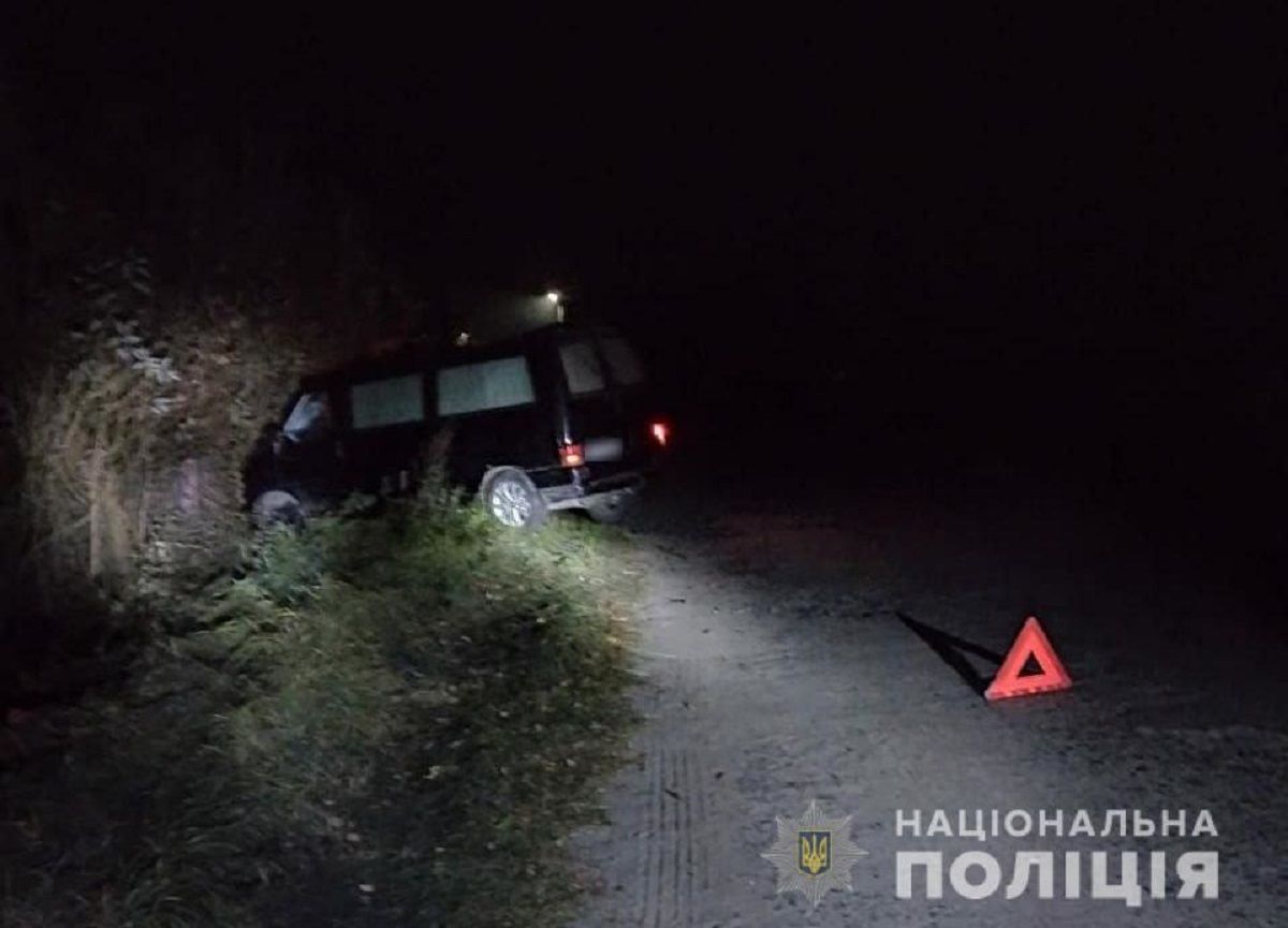 На Волині п'яний водій мікроавтобуса на смерть збив 85-річну жінку