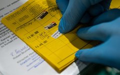 Як в Україні підробляють Covid-сертифікати