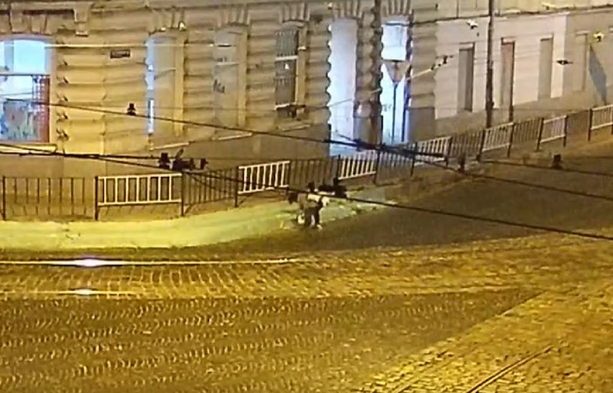 Невідома жінка посеред ночі розфарбувала бордюри у центрі Львова 