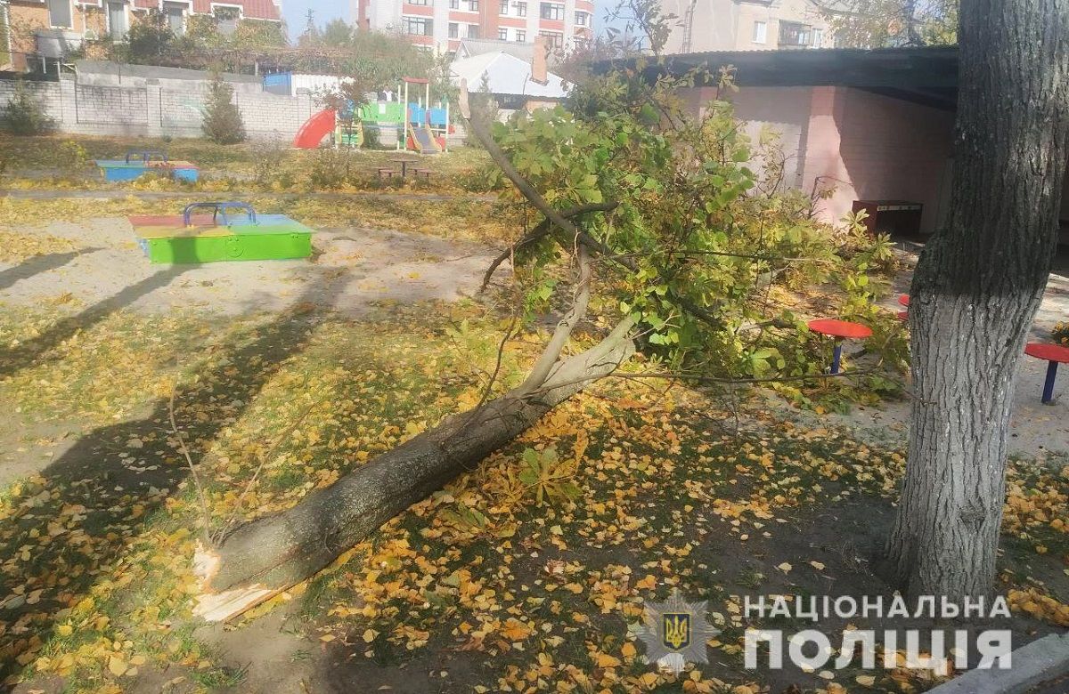 Двоє дітей потрапили у лікарню після падіння гілки біля дитсадка у Кременчуці