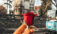 Головні новини Львова за 25 жовтня