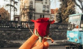 Головні новини Львова за 25 жовтня