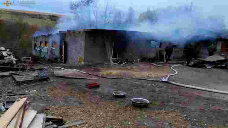 Внаслідок пожежі у селі на Тернопільщині згоріли 2 тис. курей