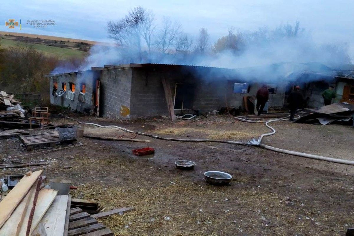 Внаслідок пожежі у селі на Тернопільщині згоріли 2 тис. курей