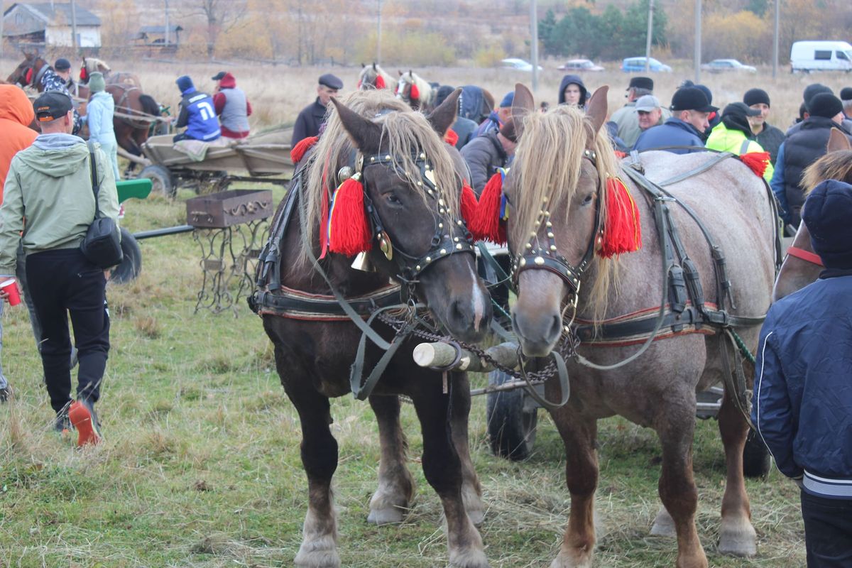 У містечку біля Коломиї влаштували перегони фірманів