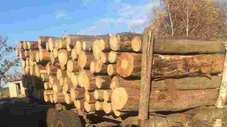Із нелегальної пилорами на Волині вилучили деревини на 800 тис. грн