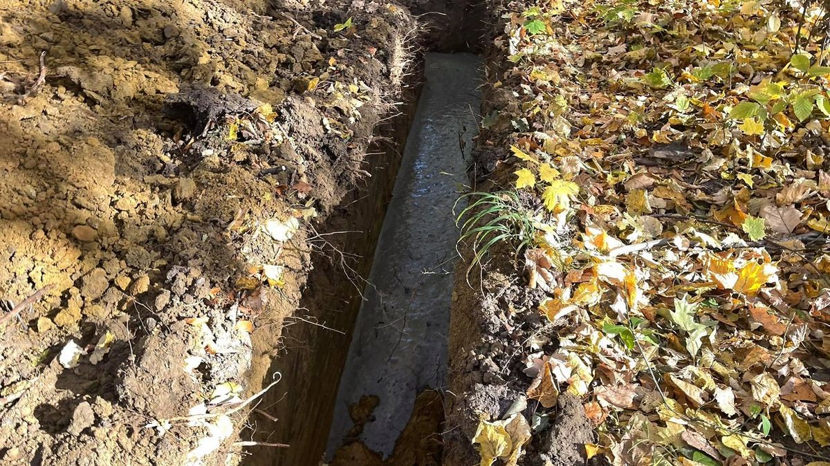 На центральній алеї парку у Львові виявили самовільне будівництво