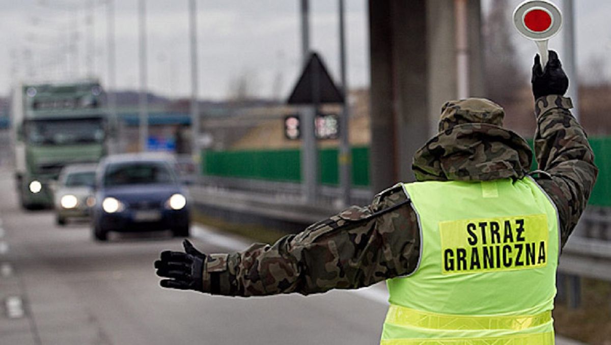 Польські прикордонники виявили 554 фальшивих українських ковід-сертифікатів