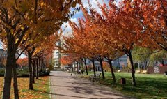 Головні новини Львова за 28 жовтня