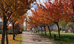 Головні новини Львова за 28 жовтня