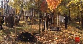 Ректори львівських університетів висадили дерева у Стрийському парку