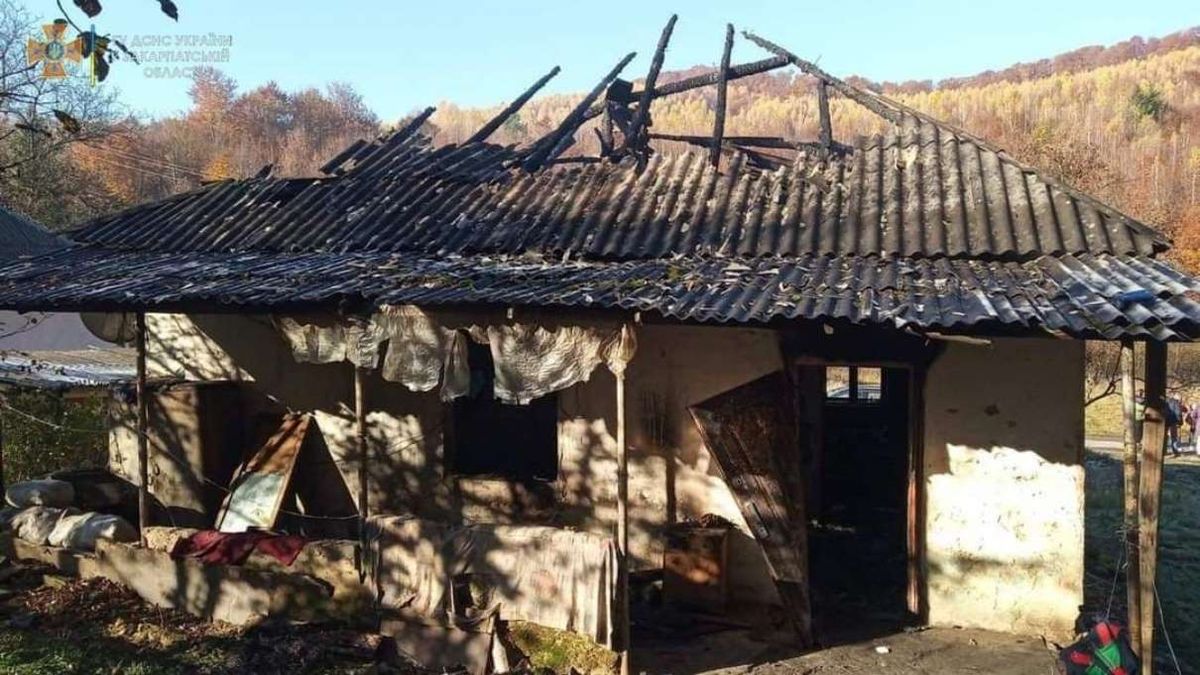 Під час пожежі на Закарпатті загинула бабуся з 4-річним онуком