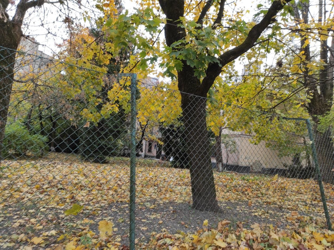 Територія навколо науково-педагогічної бібліотеки