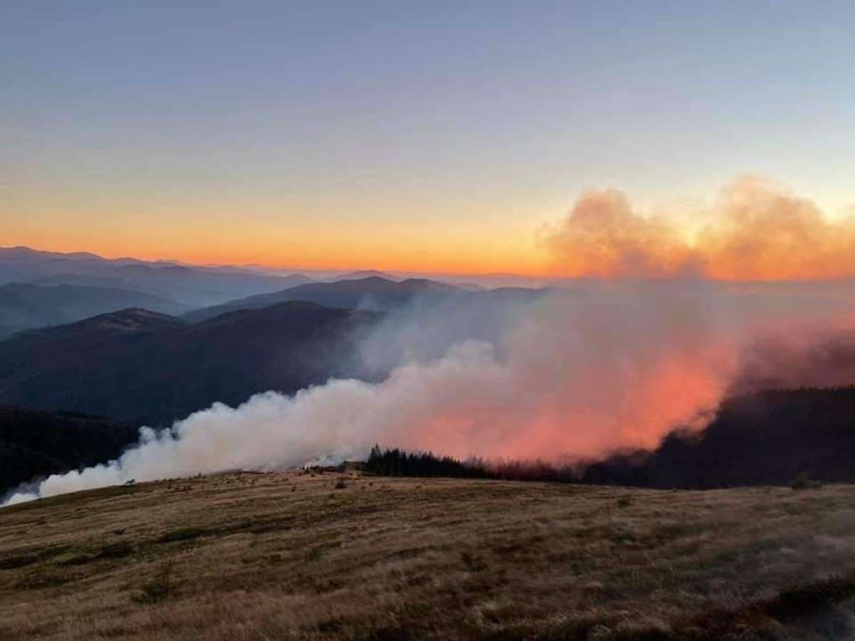 На закарпатських полонинах виникла масштабна пожежа