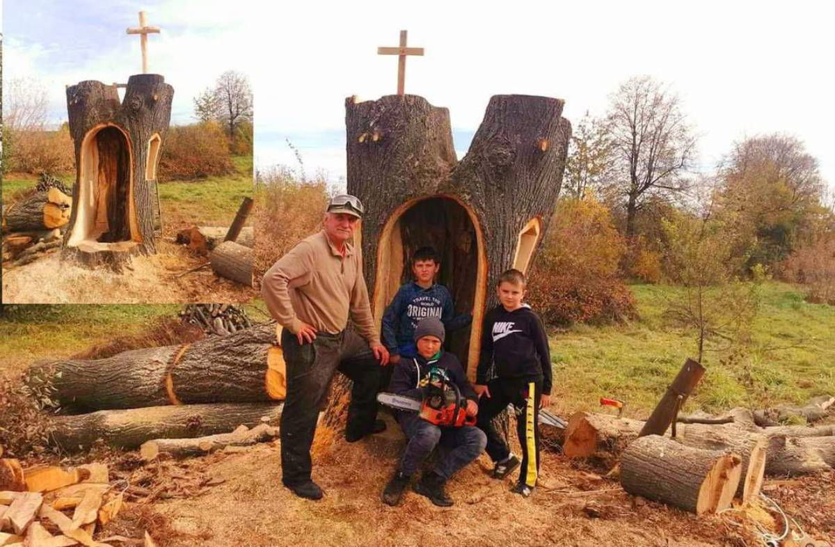 У селі біля Франківська створюють каплицю всередині аварійної липи