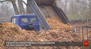 У жовтні з львівських вулиць зібрали 700 тонн опалого листя