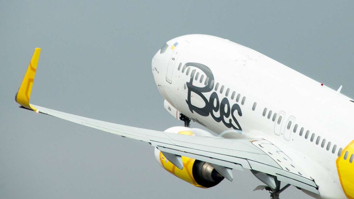 Bees Airline відкриває рейси зі Львова у Прагу