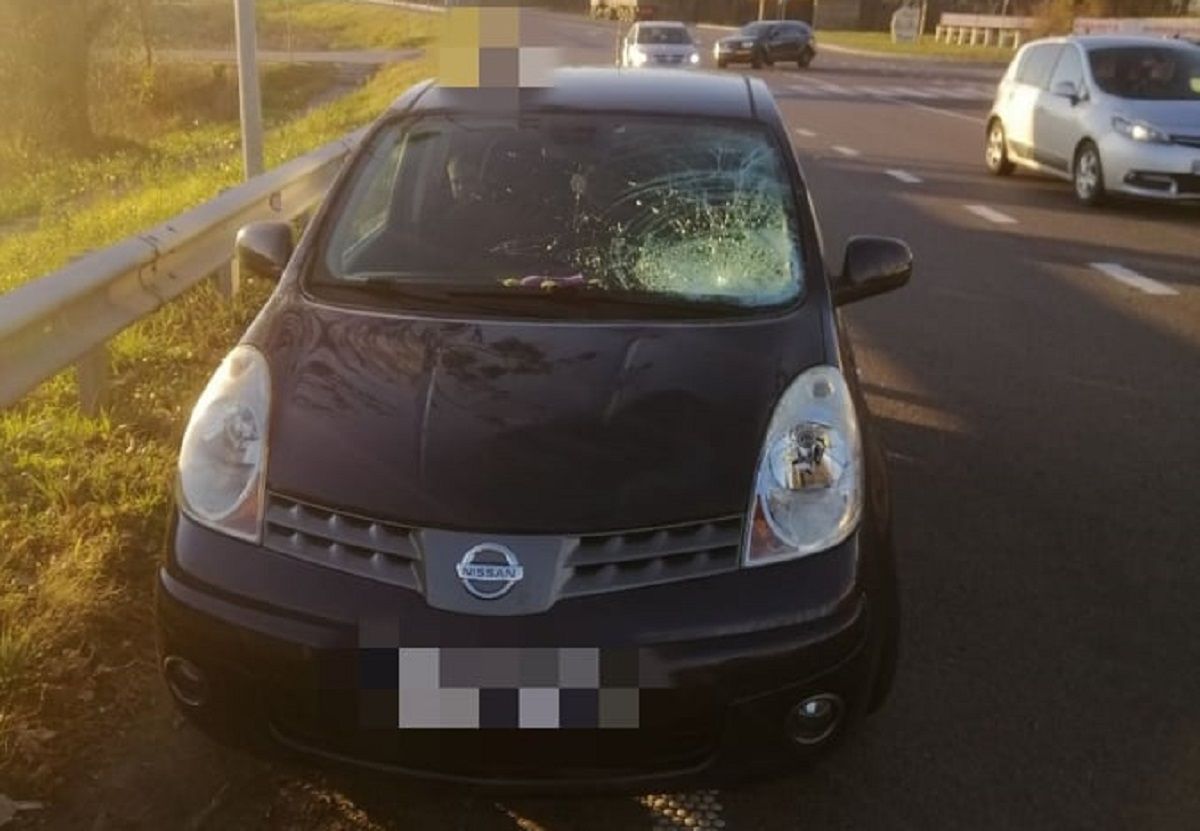 Львів'янин збив 13-річного учня, коли той виходив зі шкільного автобуса
