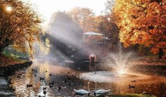 Головні новини Львова за 11 листопада