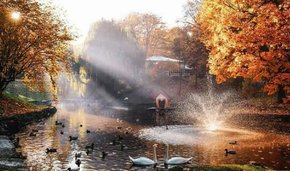 Головні новини Львова за 11 листопада