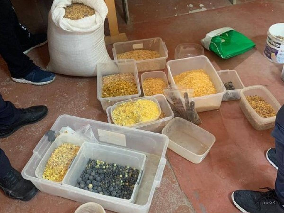 Рівненські поліцейські вилучили півтонни нелегального бурштину під час обшуків