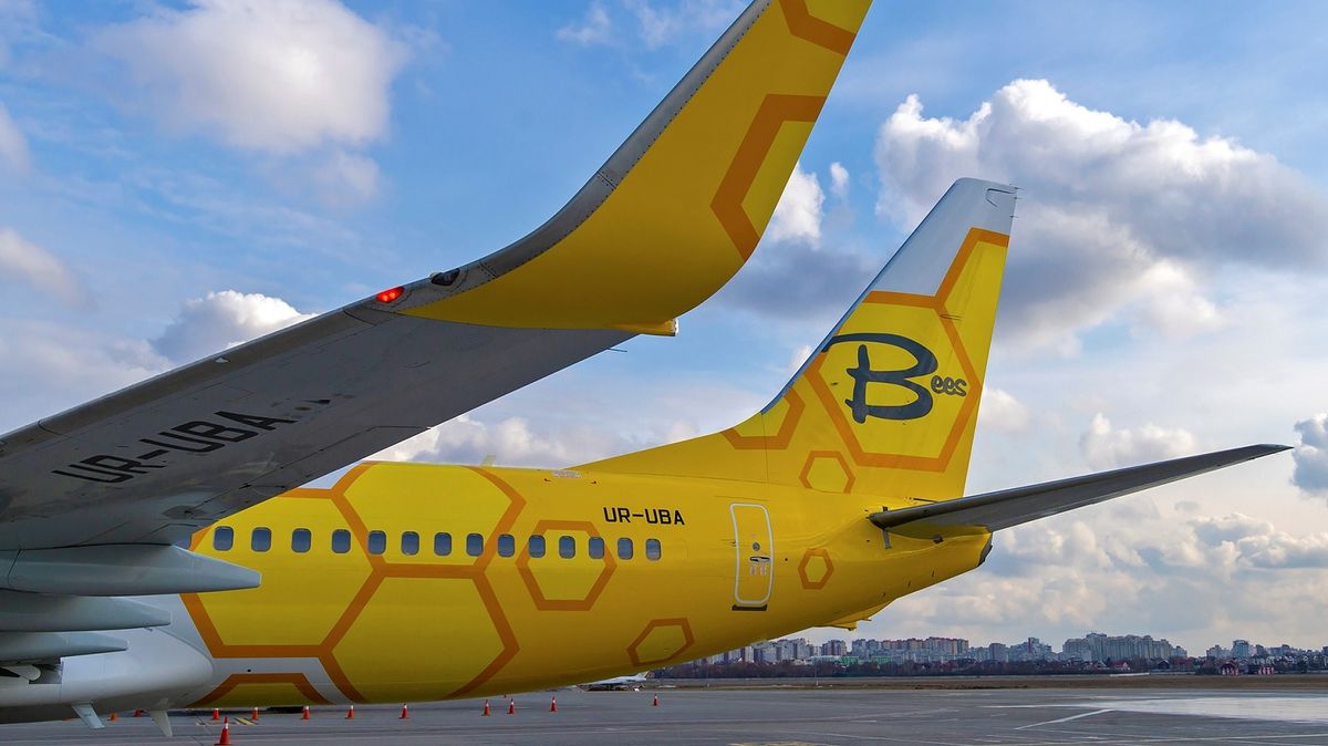 Bees Airline відкриває рейси зі Львова у Тбілісі