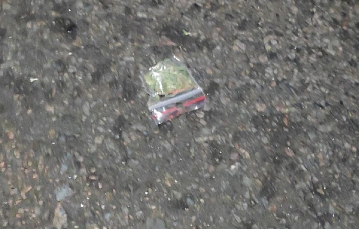 На Волині затримали чоловіків, які обматюкали патрульних з автомобіля