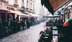 Головні новини Львова за 22 листопада