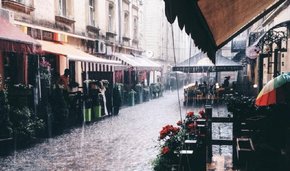 Головні новини Львова за 22 листопада