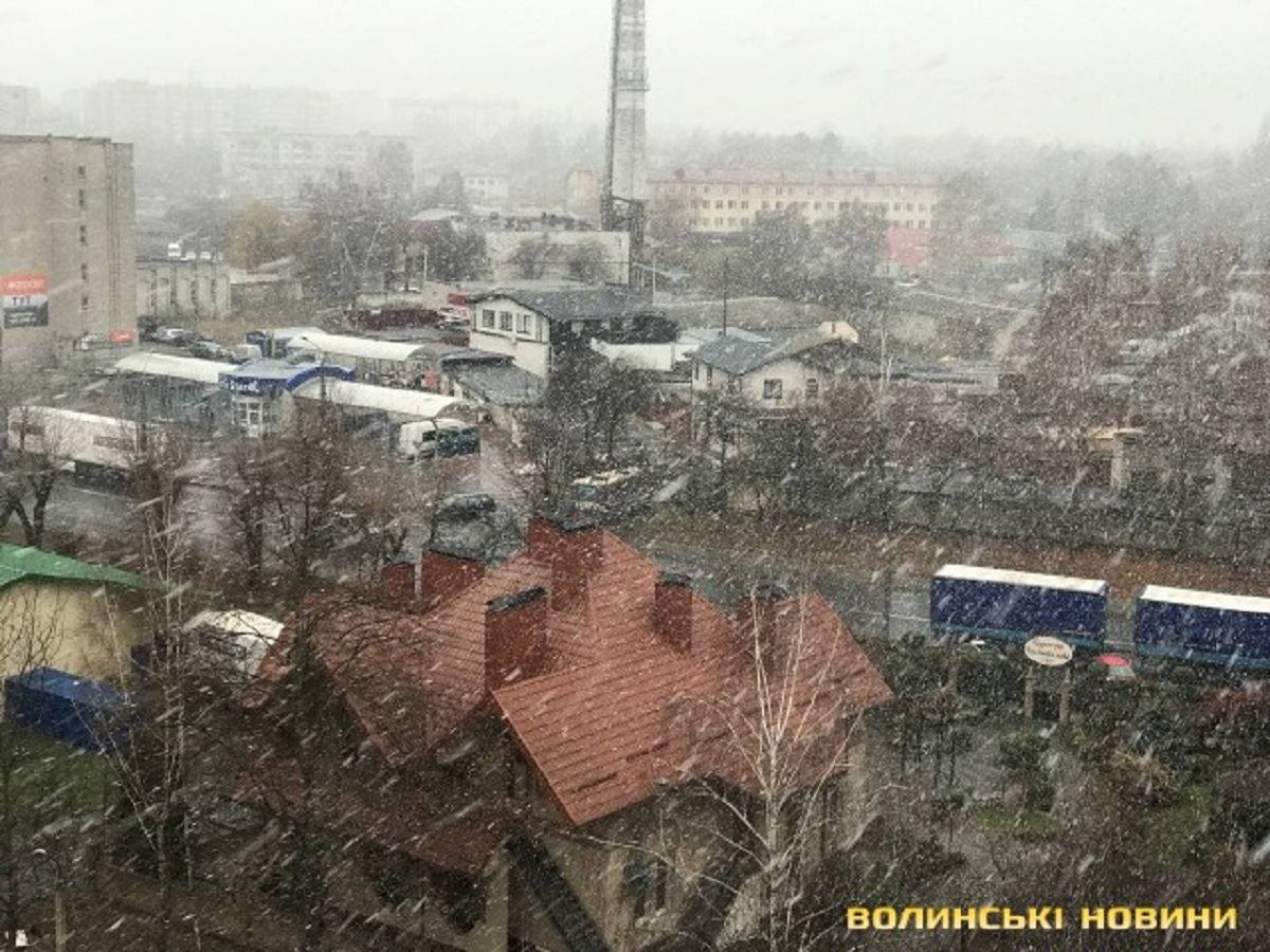 На Волині випав перший сніг