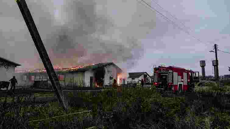 У пожежі на фермі біля Тернополя згоріло кілька десятків биків