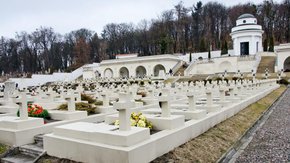 Двох провокаторів затримали на львівському Цвинтарі орлят