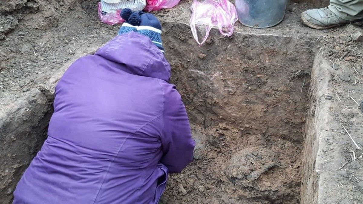 Тернопільські фермери знайшли на полі поховання віком 5000 років