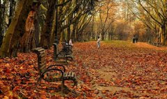 Головні новини Львова за 26 листопада