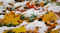 Синоптики обіцяють перший справжній сніг та ожеледицю