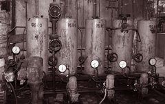 Поки світло не згасне